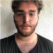 Profesor de asignaturas troncales ( economia , matemáticas, castellano , catalan...)